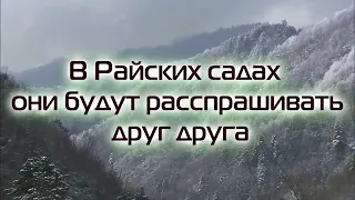 🍃Абу Аус  | Сура Аль Муддасир🍃