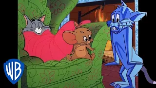 Tom y Jerry en Español | Cariño, ¡hace frío fuera! | WB Kids