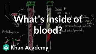 What's inside of blood? | Lab values and concentrations | Health & Medicine | Khan Academy