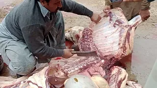 cow cutting full process l cow Meat cutting video l beef cutting l meat cutting l