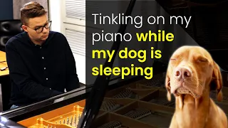 Tinkling on my piano while my dog is sleeping