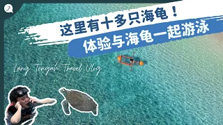 【浪中岛Ep.3】Lang Tengah Island水上活动超好玩🌊！看到十多只海龟🐢体验和海龟一起游泳! 来这里潜水真的美爆!🤿 | @JustTravel-JaniceJaguar