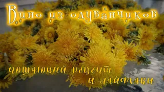 ВИНО ИЗ ОДУВАНЧИКОВ: ПОШАГОВЫЙ РЕЦЕПТ И ЛАЙФХАКИ | ВИНОДЕЛИЕ В ЗАСАД | DANDELION WINE