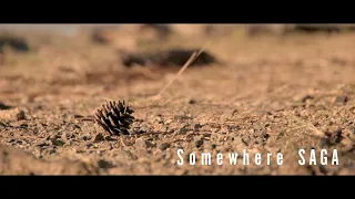 【佐賀】佐賀のどこかの風景「Somewhere SAGA」 #佐賀 #風景 #saga