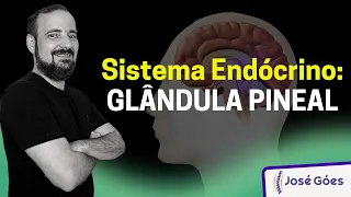 Sistema Endócrino: GLÂNDULA PINEAL | José Góes