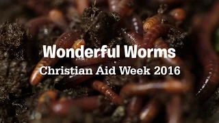 Christian Aid Week 2016: Wonderful Worms