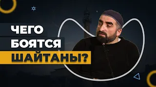 Чего боятся шайтаны? / Хаджимухаммад Ваммаев