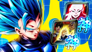 CAN SHALLOT PUT IN THE WORK WITH THESE PLATINUM EQUIPS!?!? (Dragon Ball Legends)