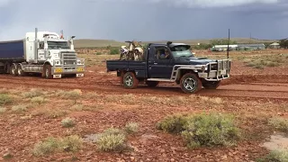 V8 Landcruiser pulls road train out of the bog