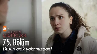 Düşün artık yakamızdan! - Kırgın Çiçekler 75. Bölüm - atv