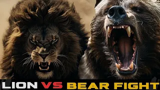 LION Vs BEAR: -Who Will Win in This Fight?