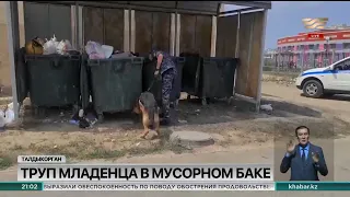 Тело новорожденного ребенка нашли в мусорном баке в Талдыкоргане