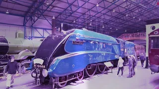 Happy 82 Birthday A4 4468 Mallard