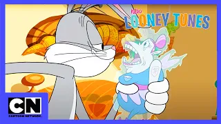 Nowe Zwariowane Melodie | Zębowa wróżka | Cartoon Network