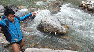 NET FISHING IN NEPAL | ASALA FISHING | HIMALAYAN TROUT FISHING |