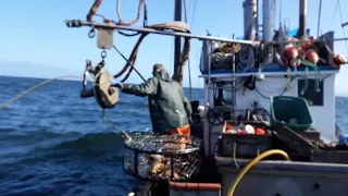 Commercial Dungeness crab fishing with old Abelman block F/V Corregidor