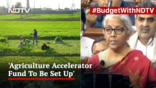 Union Budget 2023 | Agriculture Accelerator Fund To Encourage Agri Startups: Finance Minister