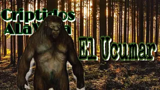 Ucumar | HOMBRES BESTIA | #Bestiario Vol.70 | CRIPTOZOOLOGÍA | Criptidos A La Vista