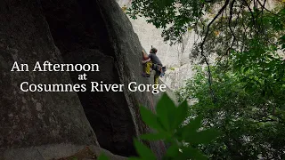 Spring is here!  |  Northern California Rock Climbing at Cosumnes River Gorge