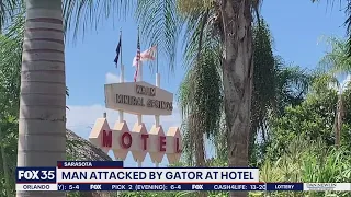 Florida man attacked by alligator at hotel