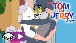 Tom i Jerry Show | Opiekunka domu | Cartoonito