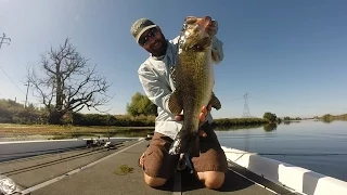 Punching the slop Remix 2014, California Delta style!