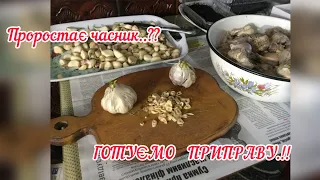 сушений часник  / ГОТУЄМО ДОМАШНЮ ПРИПРАВУ.