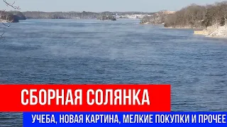 🔴СБОРНАЯ СОЛЯНКА 🔴УЧЕБА, НОВАЯ КАРТИНА, МЕЛКИЕ ПОКУПКИ И ПРОЧЕЕ