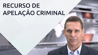 Recurso de apelação criminal - com professor Fernando Capez