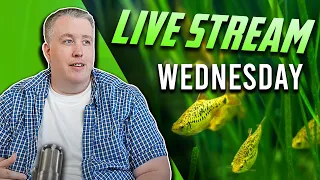 It's been one of those weeks, whew! Live Stream #288