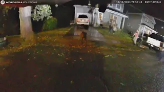BODYCAM VIDEO: Canton police officer fatally shoots dog while responding to domestic dispute