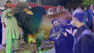 Multan Ka First Cattle Show ♥️| Hashim Ki Bargaining 2.5 CRORE Demand 🥵@SSTvs