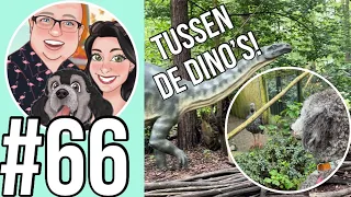 Hoe is een dagje dierenpark Amersfoort met een hond ?