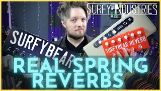 SURFY INDUSTRIES SPRING REVERB - Classic, Metal and Compact - Vintage Style, REAL Spring Reverbs