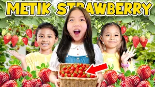 METIK STRAWBERRY BARENG KAKAK CHECIL!! ALUNA AMANDA HAPPY BANGET!!