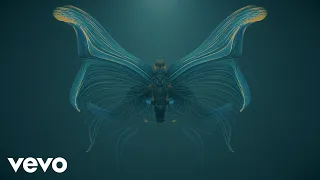 Ludovico Einaudi - Einaudi: Fly (Visualiser)