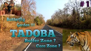 You Should Know About Tadoba Andhari Tiger Reserve 🐅| ताडोबा🐆 | Butterfly Garden 🦋| Full Info |