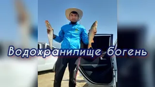 Рыбалка  Туркестанская область | водохранилище бугунь боген