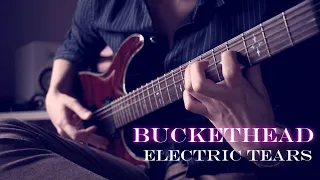 Buckethead - Electric Tears - Ambient Guitar cover by Robert Uludag