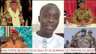 Drissa Meminta - Une forte délégation malienne et burkinabé est arrivée au Niger