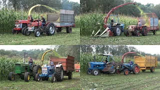 Mais hakselen met klassiekers op de Oldtimer hakseldag Espelo (2023)