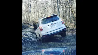 Subaru Forester Offroad - Can it keep up with the trucks?