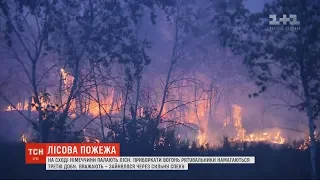 Третю добу вогнеборці намагаються взяти під контроль потужну лісову пожежу у Німеччині