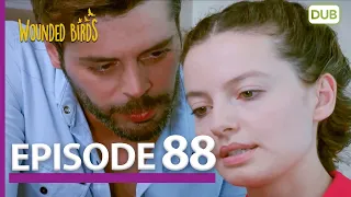 Wounded Birds Episode 88 - Urdu Dubbed | Turkish Drama