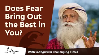 Does Fear Bring Out the Best in You? 🙏 With Sadhguru in Challenging Times - 25 Apr