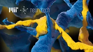 MIT Neurotech: Connectomics