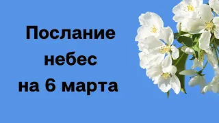 Послание небес для вас на 6 марта. Принятие. | Тайна жрицы.