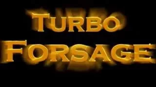 Turbo Forsage!!!! Надёжный, Денежный Бизнес! 1250 € в неделю!