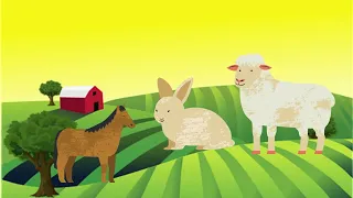 Old MacDonald Had A Farm Kids Song | Çocuk Şarkıları