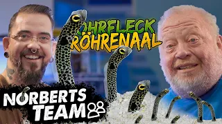 RÖHRENAAL | NORBERTS TEAM | Zoo Zajac